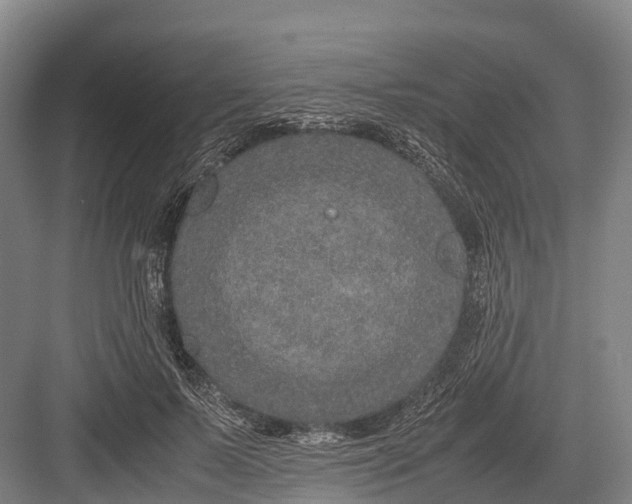 X0000082720695200702161842