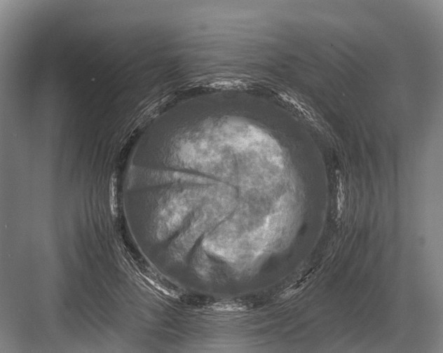 X0000082720696200702161842