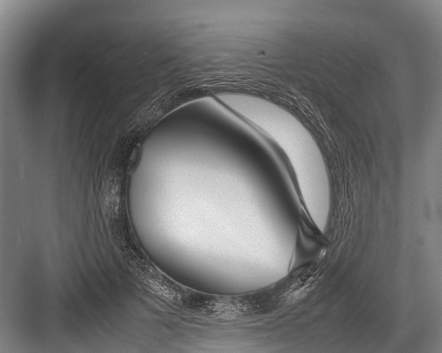 X0000082720697200702161842