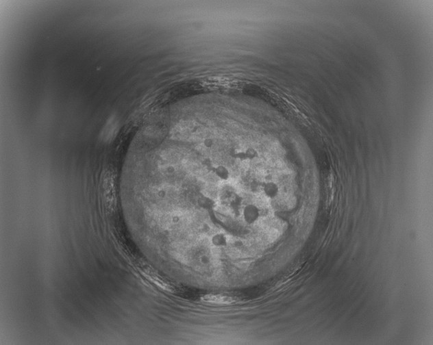 X0000082720699200702161841