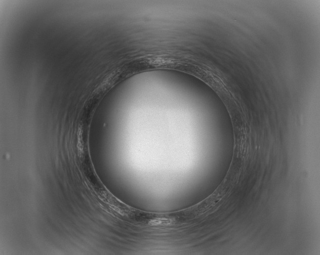 X0000082720700200702161841