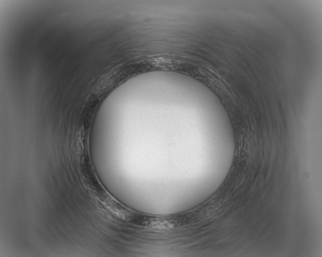 X0000082720702200702161841