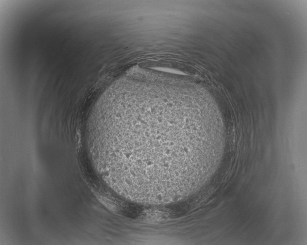 X0000082720703200702161841