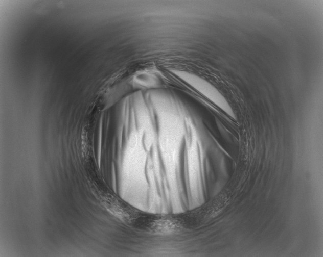 X0000082720704200702161841