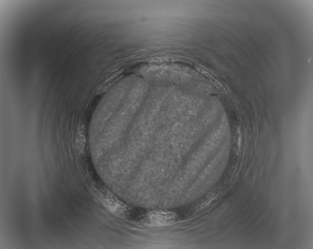 X0000082720707200702161841