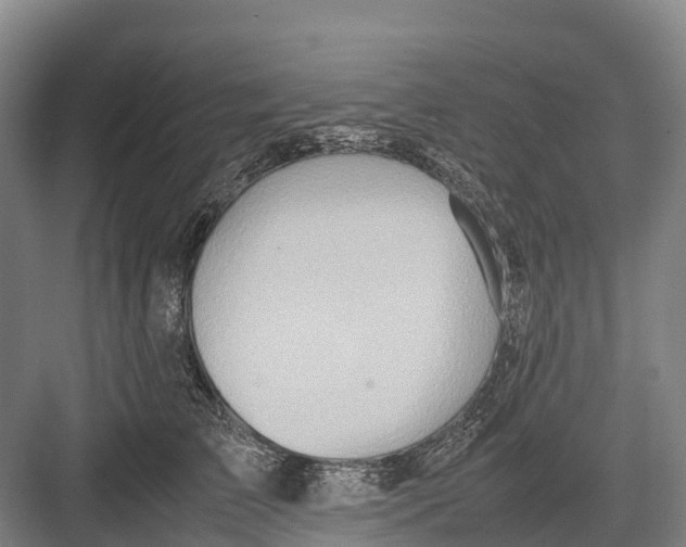 X0000082720709200702161841