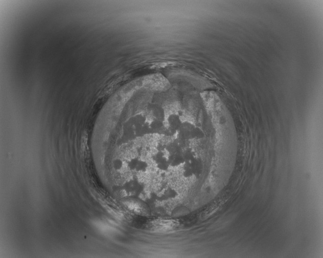 X0000082720711200702161841