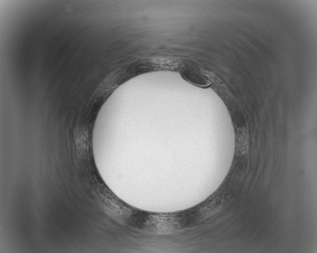 X0000082720713200702161841