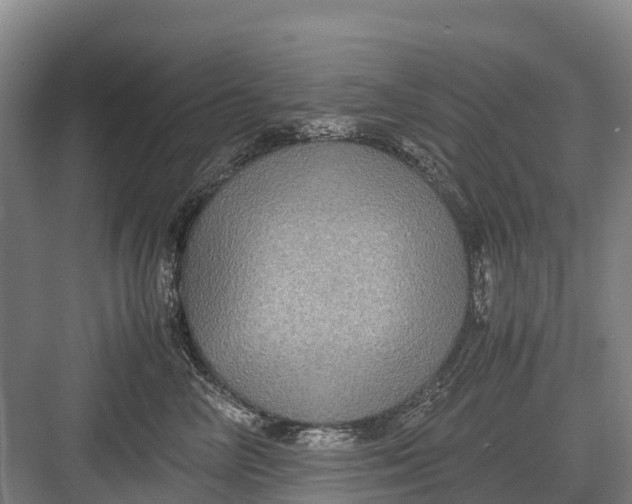 X0000082720714200702161841