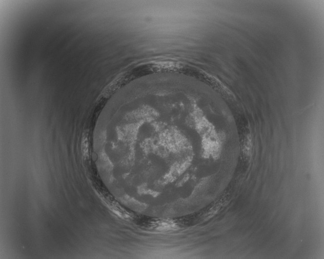 X0000082720715200702161841