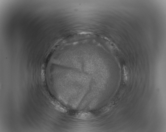 X0000082720716200702161841