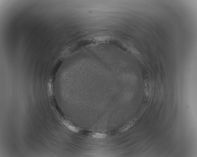 X0000082720718200702161841