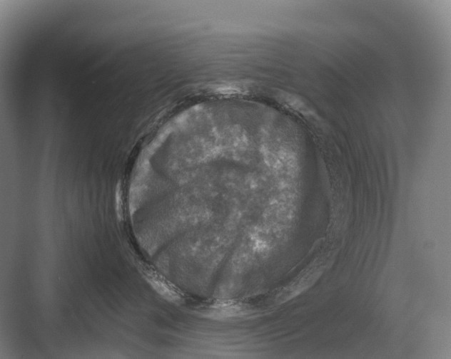 X0000082720720200702161841