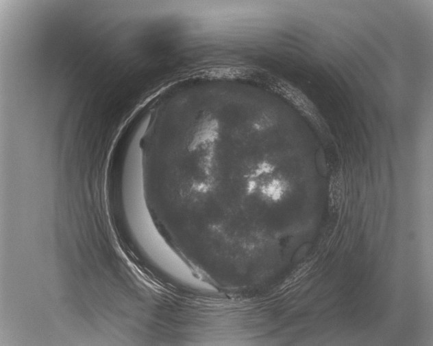 X0000082720722200702161840