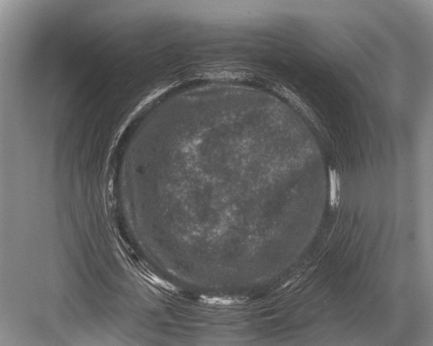 X0000082720723200702161840