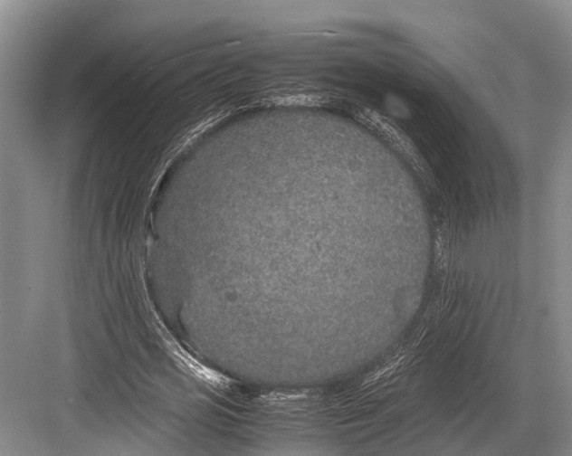 X0000082720725200702161840