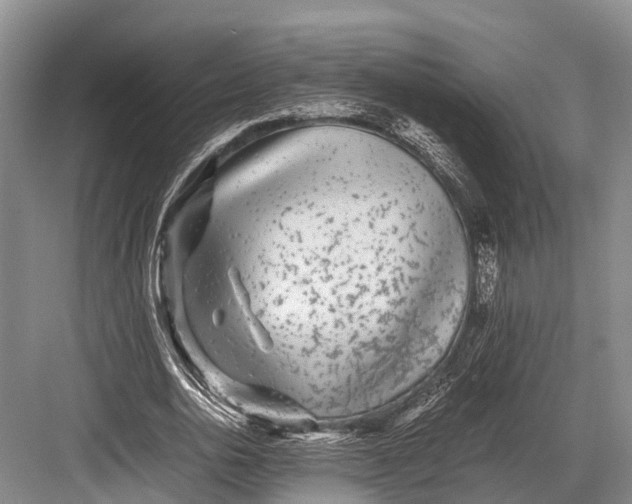 X0000082720726200702161840