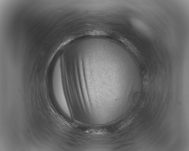 X0000082720727200702161840