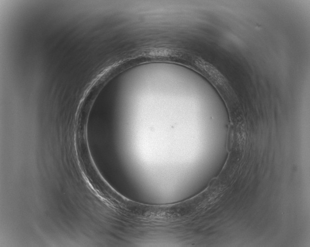 X0000082720728200702161840