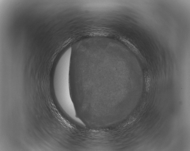 X0000082720729200702161840