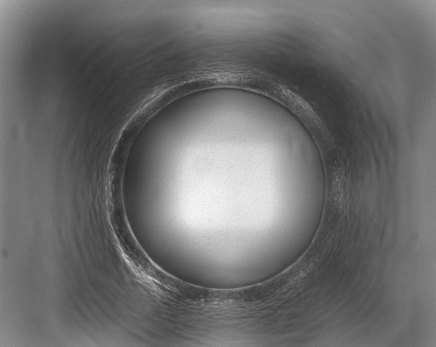 X0000082720730200702161840