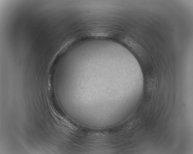 X0000082720731200702161840