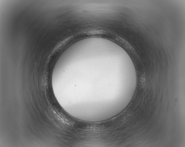 X0000082720732200702161841