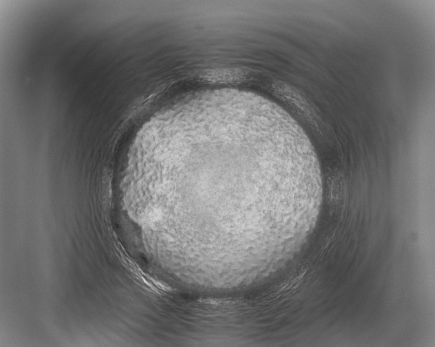 X0000082720733200702161841