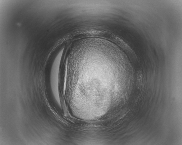 X0000082720734200702161841