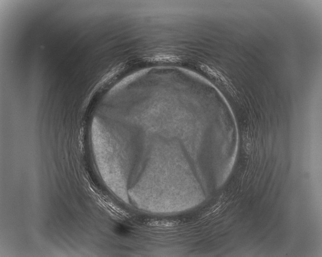 X0000082720735200702161841