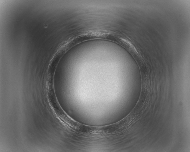 X0000082720736200702161841