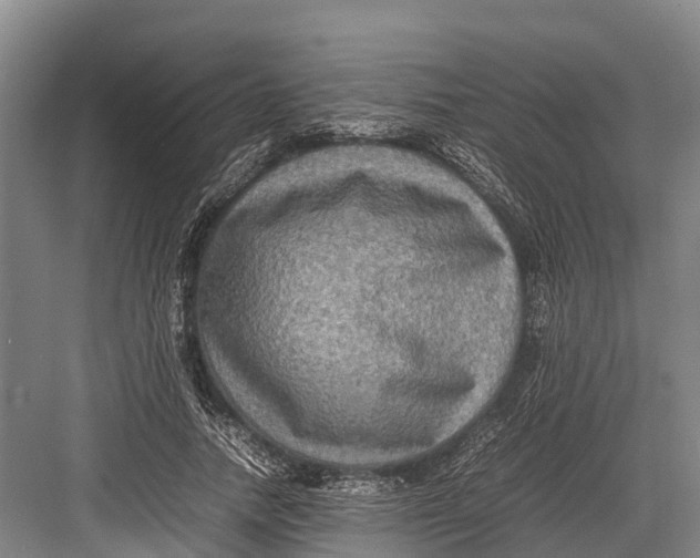 X0000082720738200702161841