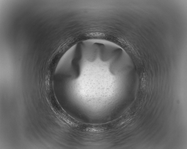 X0000082720739200702161841