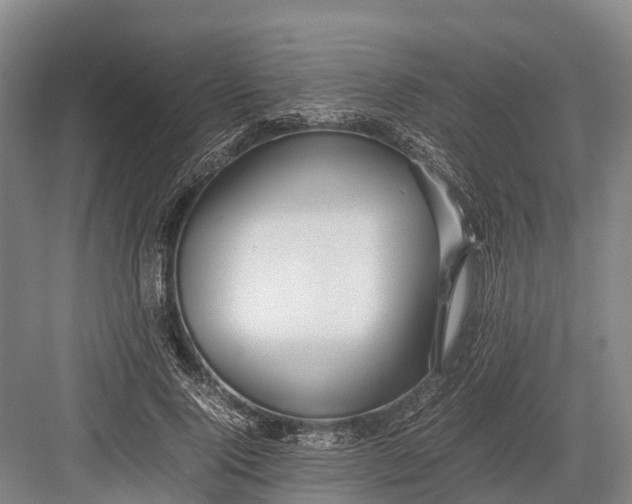 X0000082720740200702161841