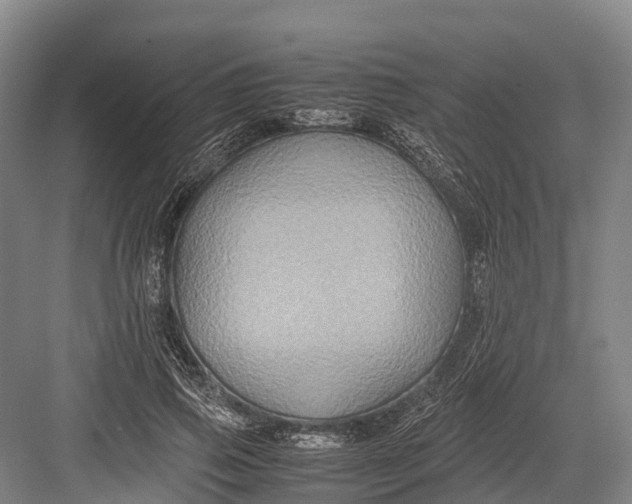 X0000082720741200702161841