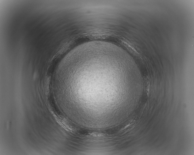 X0000082720742200702161841