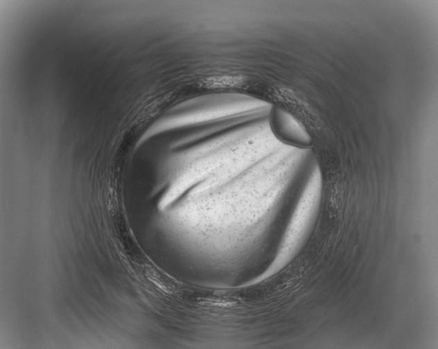 X0000082720743200702161841