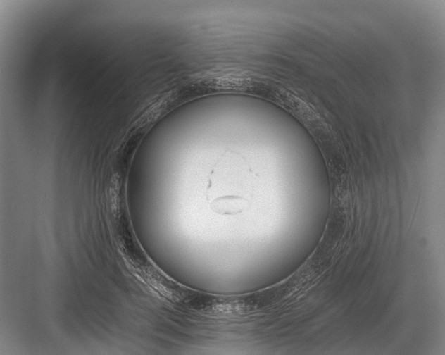 X0000082720744200702161841