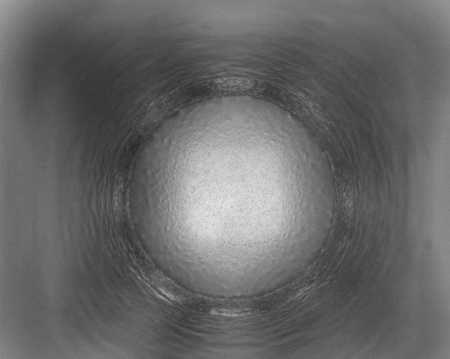 X0000082720745200702161841