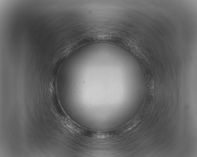 X0000082720746200702161841