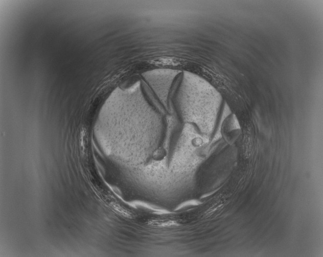 X0000082720747200702161841