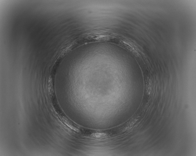 X0000082720748200702161841