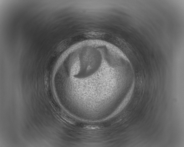 X0000082720749200702161841