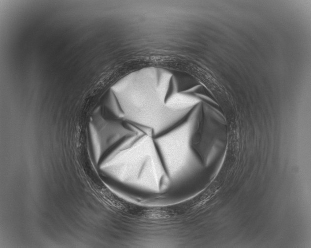 X0000082720750200702161841