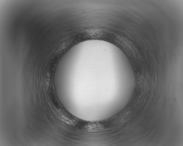 X0000082720752200702161841