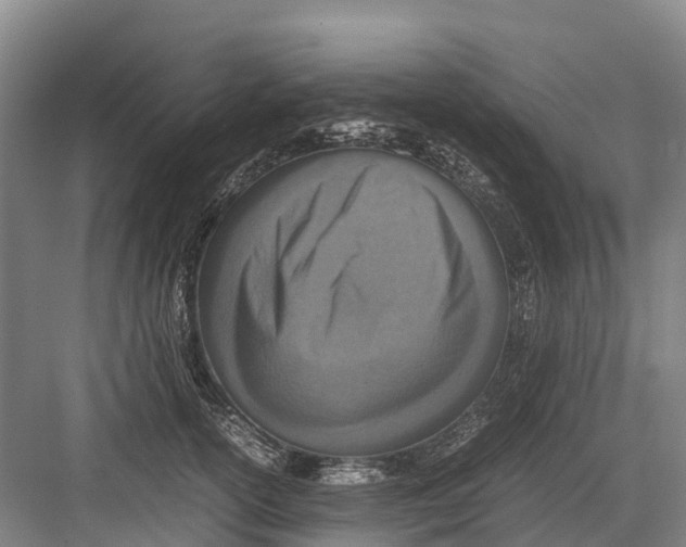 X0000082720754200702161841