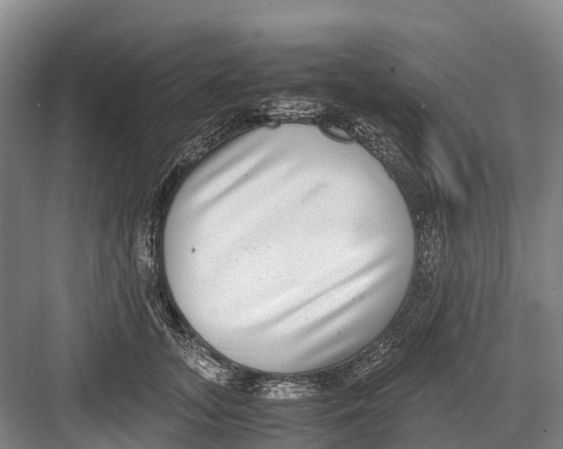 X0000082720755200702161841