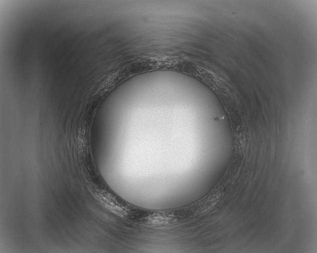 X0000082720756200702161841