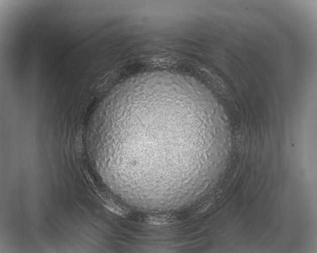 X0000082720757200702161841