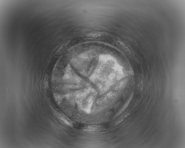 X0000082720758200702161841